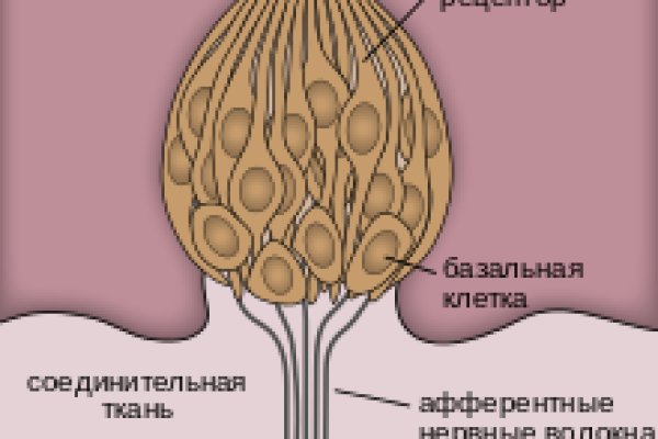 Аналог гидры