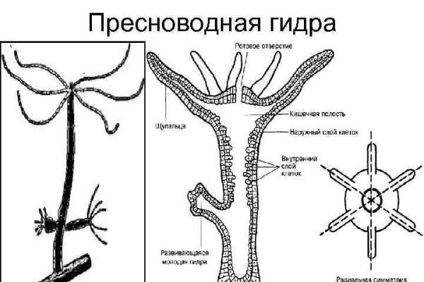 Кракен ссылка vtor