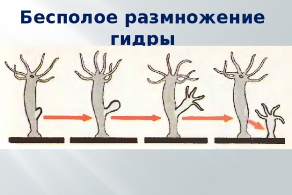 Kraken ссылка onion 2kmp