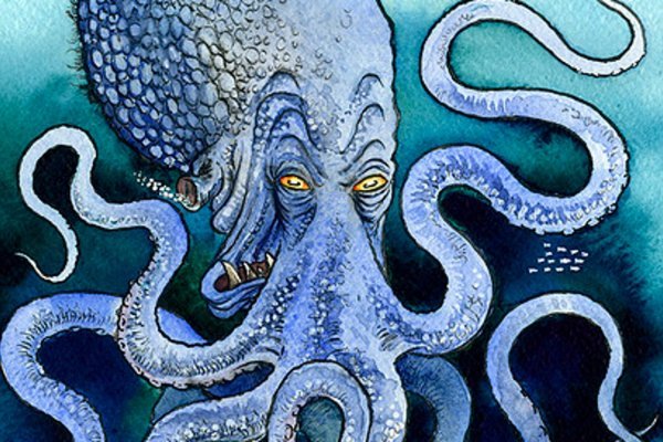 Hydra kraken